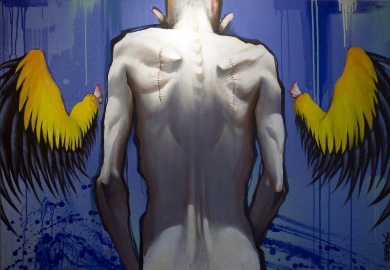 bozko_-_dreamer_800 bozko_-_dreamer_800