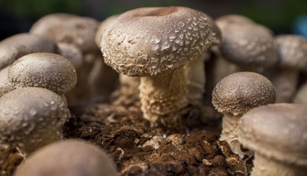 03_1024_25 03_1024_25