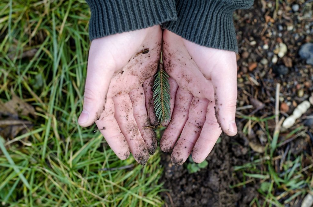 Рене Карабаш image