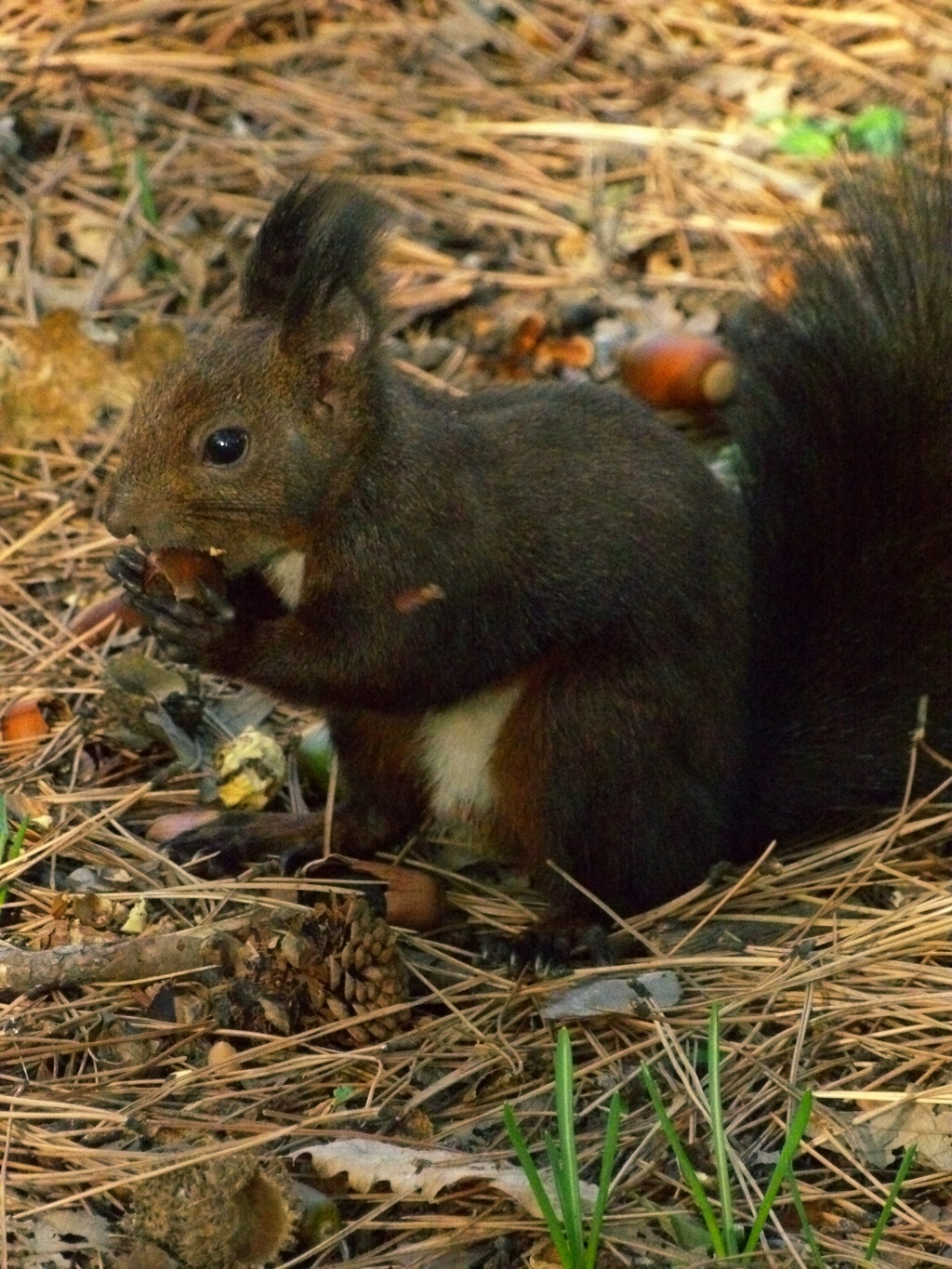 104_1063_1365 love.image