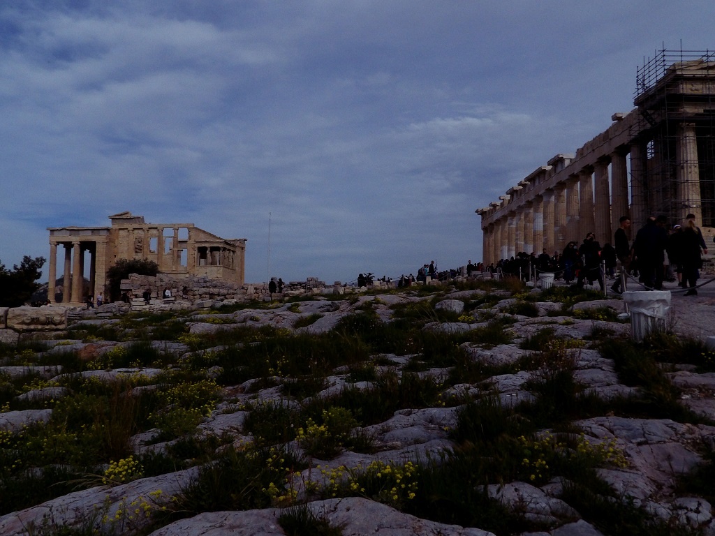 105_9459_1024 6. image