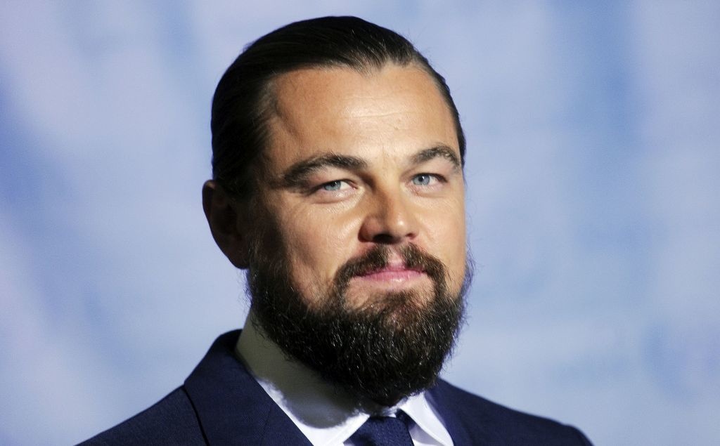 Leonardo Di Caprio image