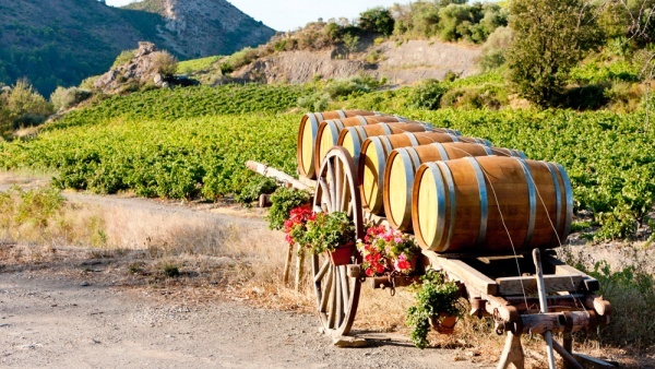 51931e532e424_600 лангедок