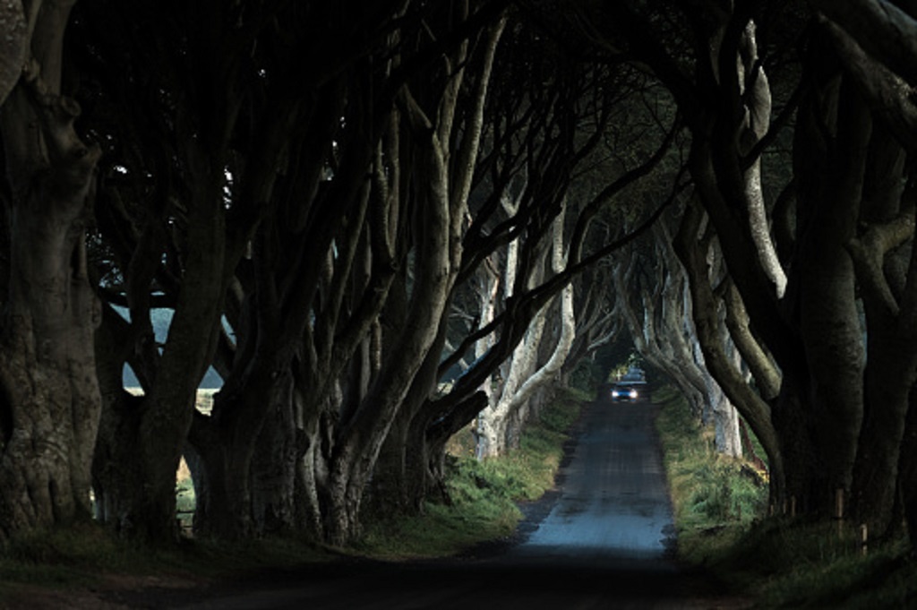 584364937_1024 584364937_1024