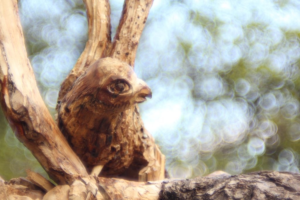 aleksei_aleksiev_bird_1024 aleksei_aleksiev_bird_1024