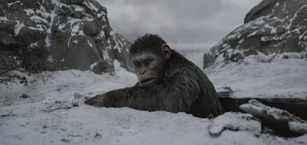 War for the planet of the apes image