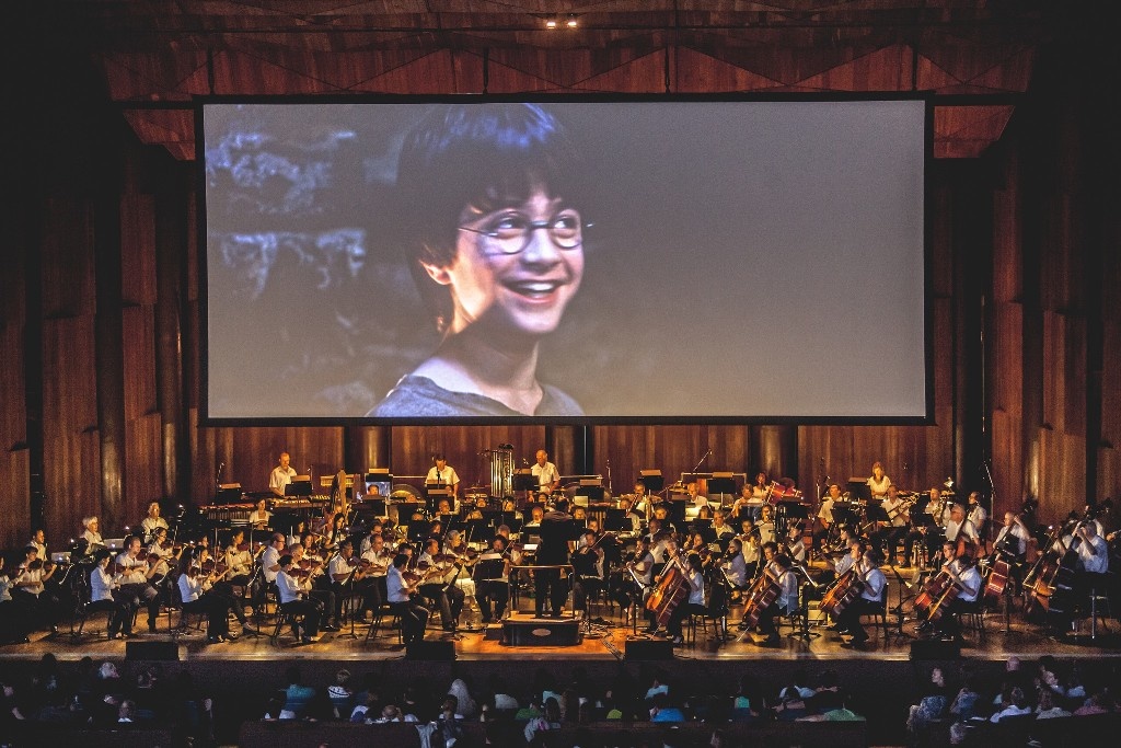 harry potter concert image
