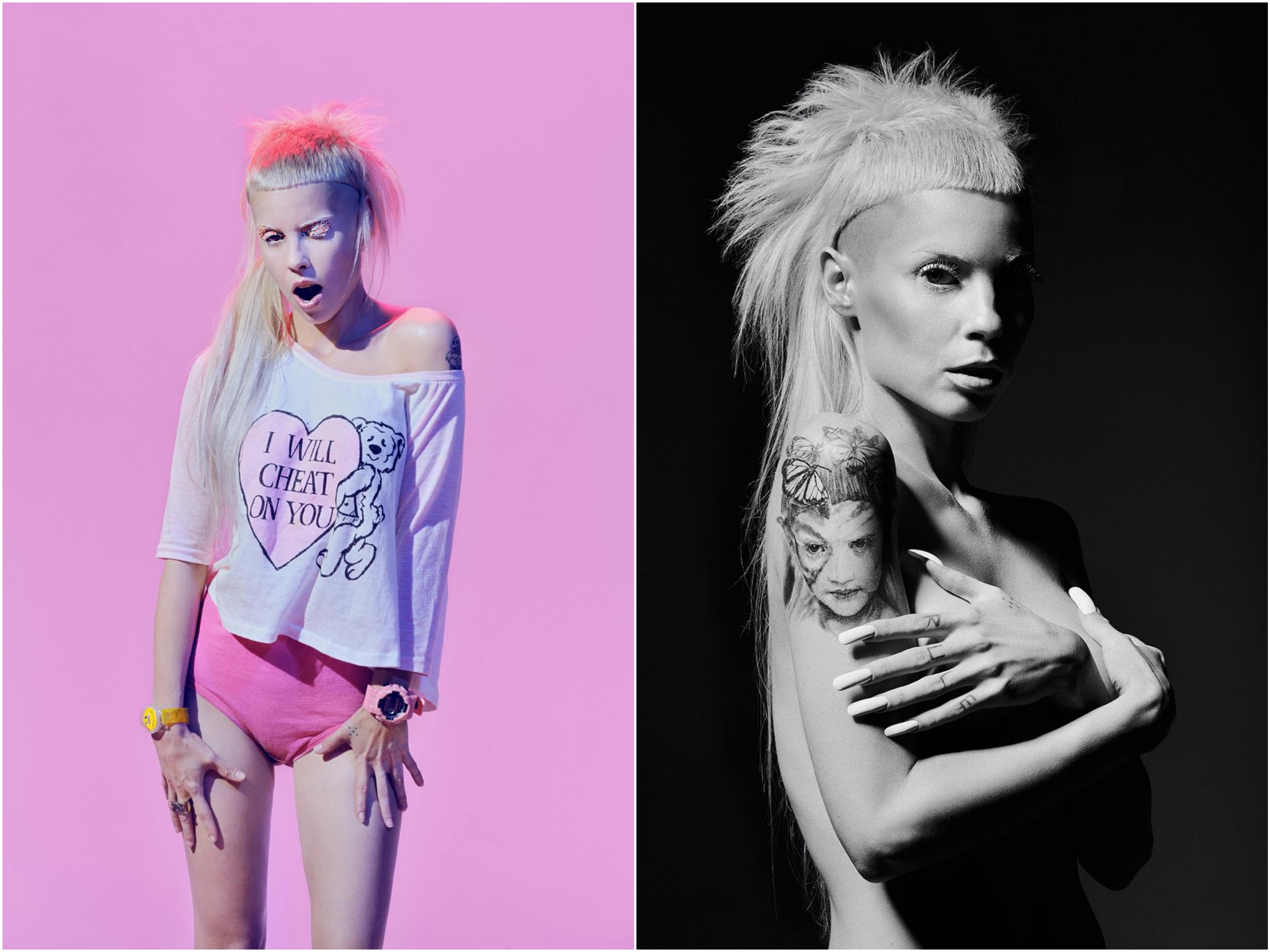 Die Antwoord image