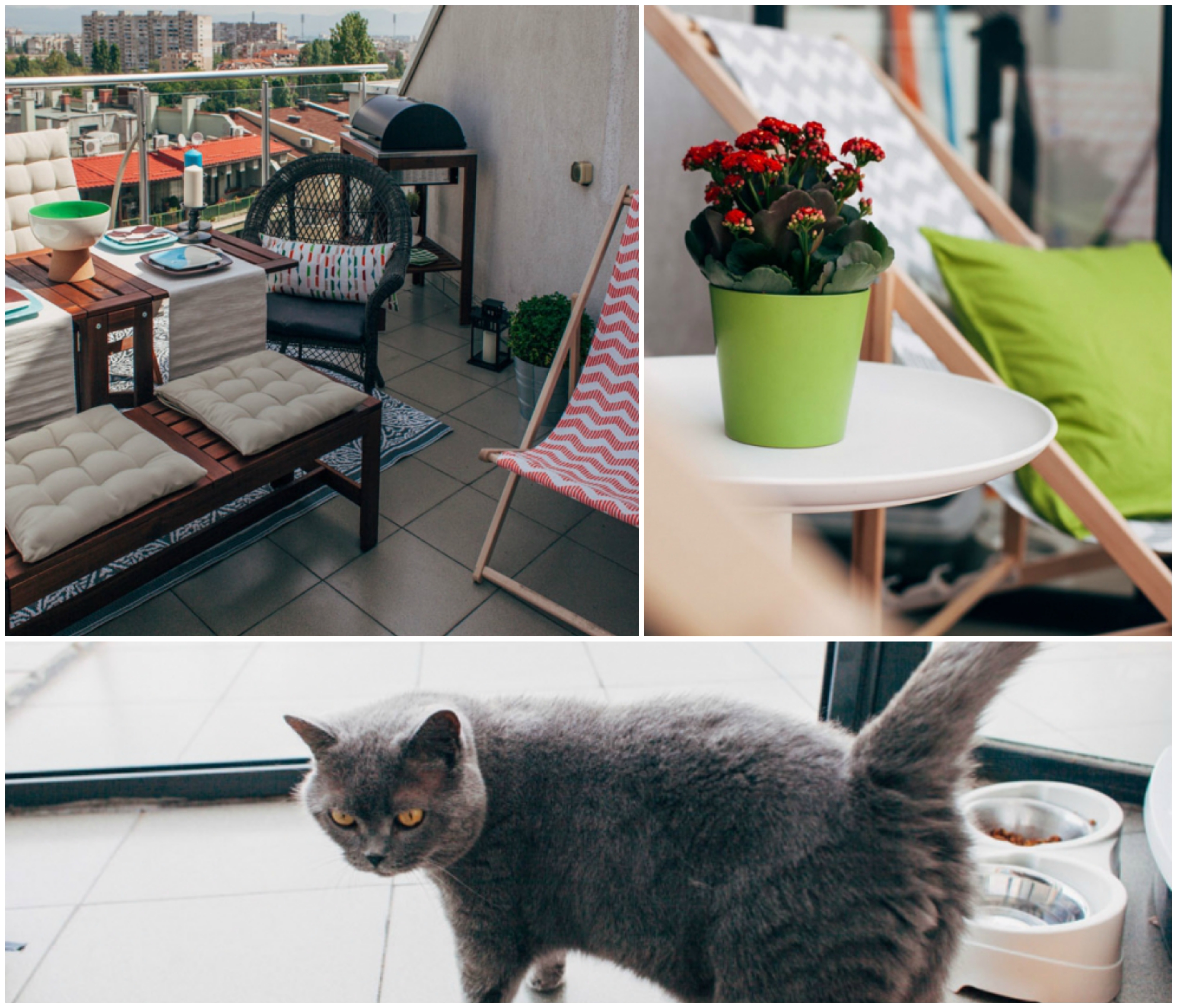 Балкон турист image