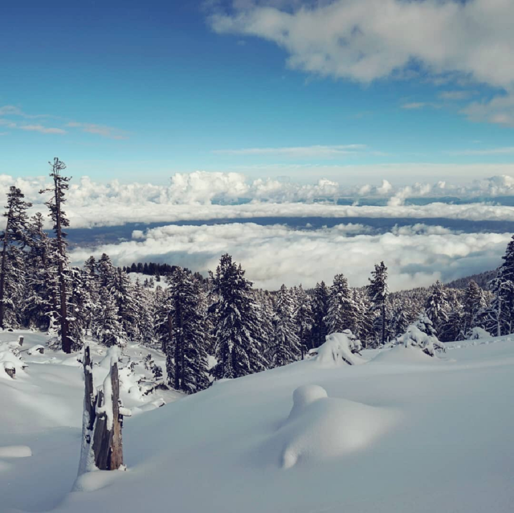 d_1024_01 dobrinshte. image