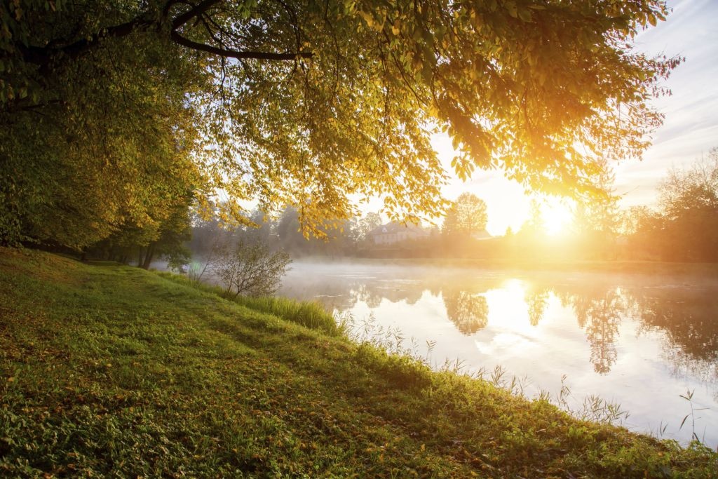 Джулай Морнинг image