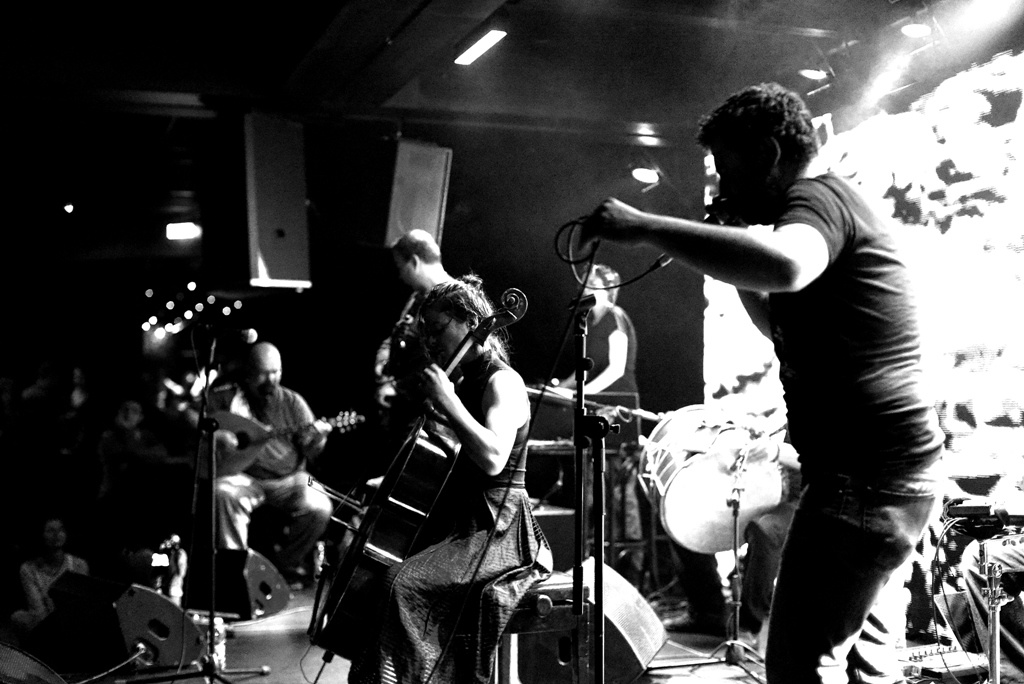 кайно йесно слонце image