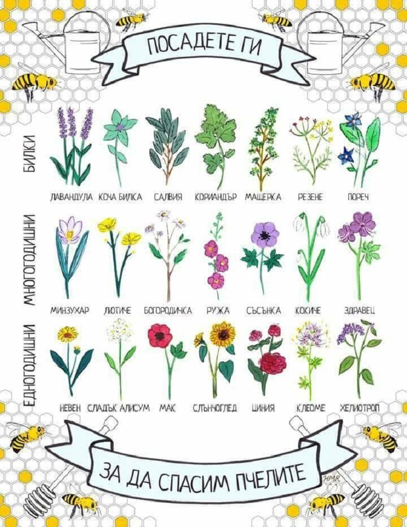 pchelite_1024 pchelite_1024