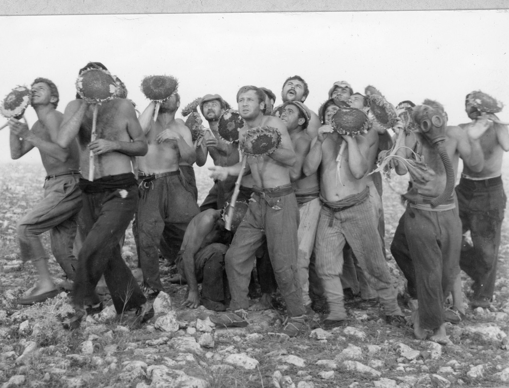 privarzaniat_balon5_1024_03 privarzaniat_balon5. image