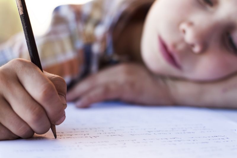 school_800 school_800