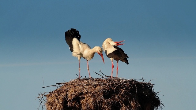 te_otlitat_640 te_otlitat_640