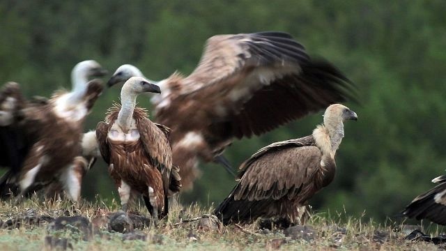 te_otlitat_640_01 te_otlitat_640_01