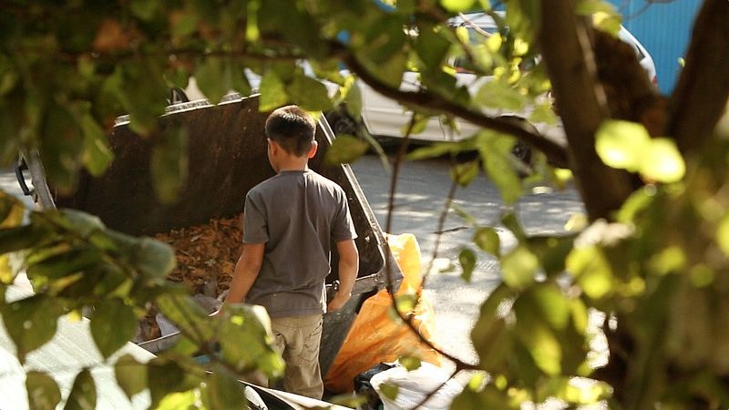 the_orange_gunny_800 the_orange_gunny_800