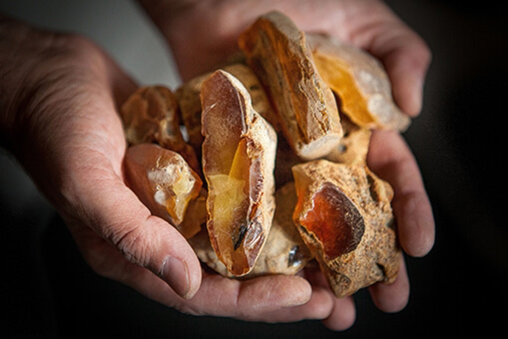 third_1024 third_1024