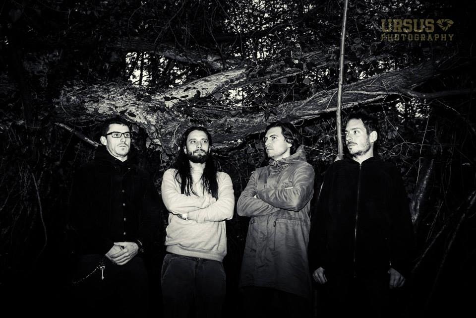 voyvoda2_960 voyvoda image