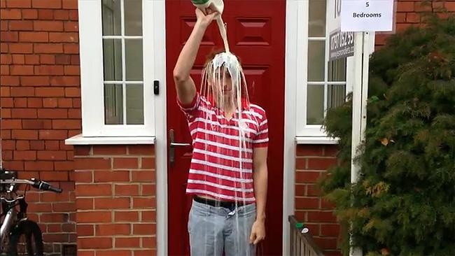 milking_650 milking_650