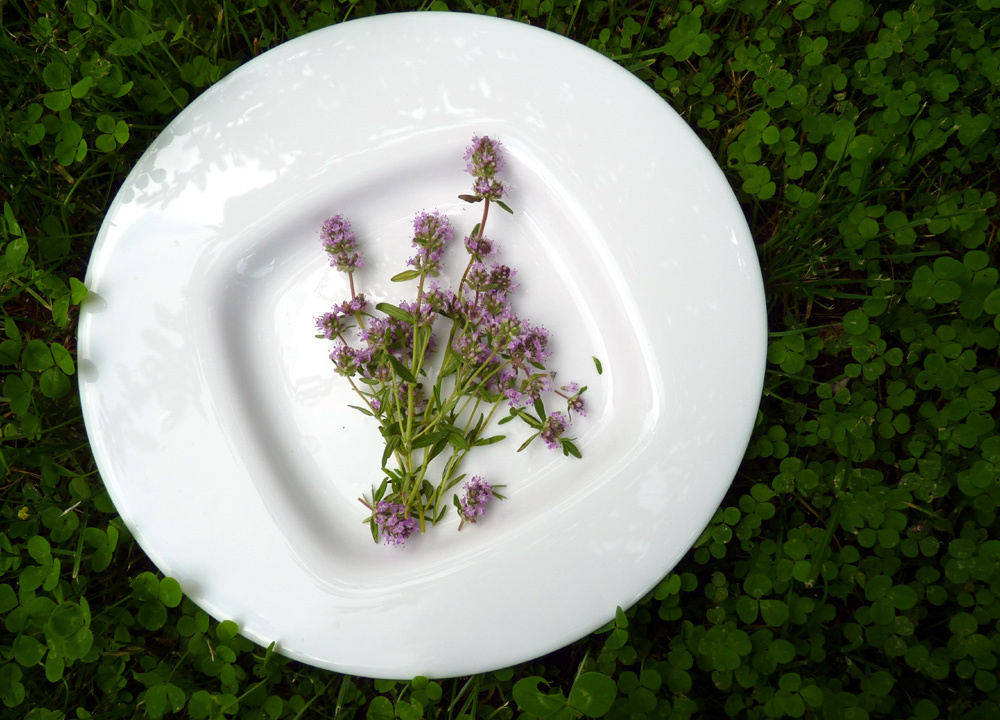 ma6terka_1000 ma6terka_1000