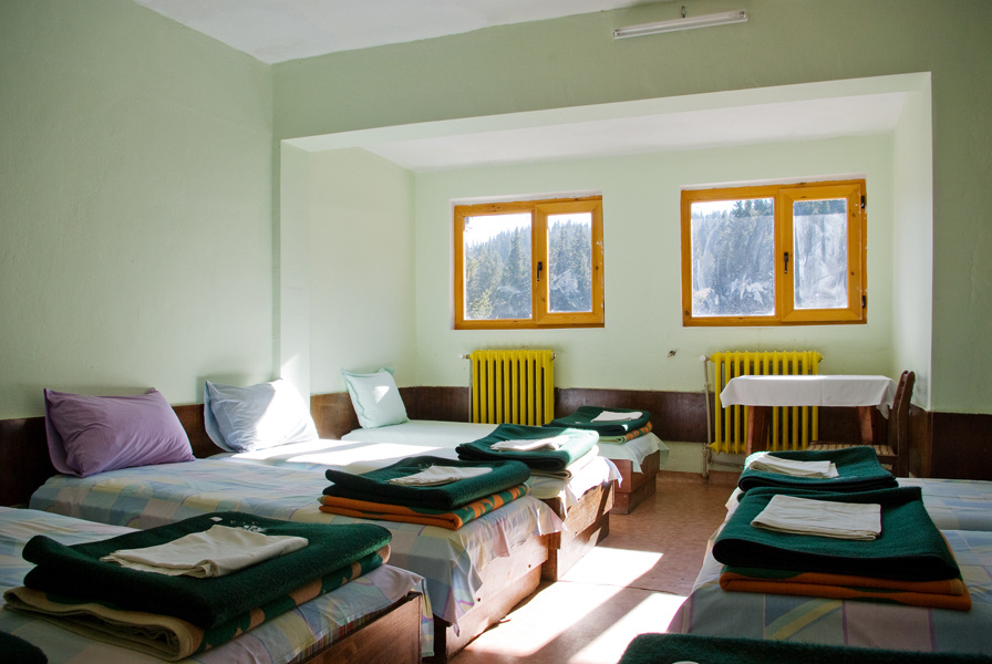 aleko_3_896 aleko_3_896