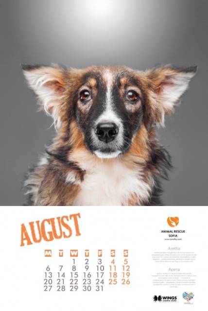 august_640 august_640