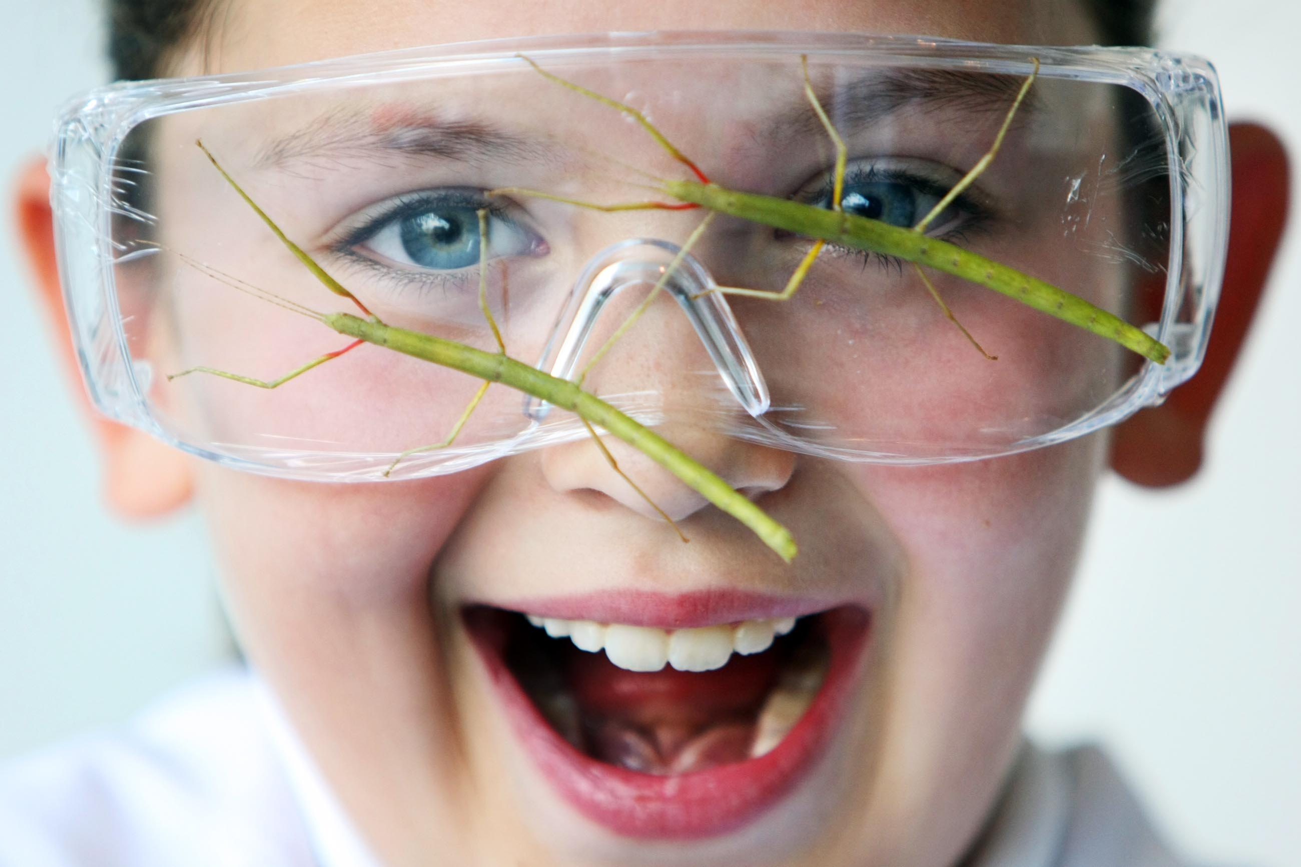 science_week_08_image_high_res_2600 science_week_08_image_high_res_2600