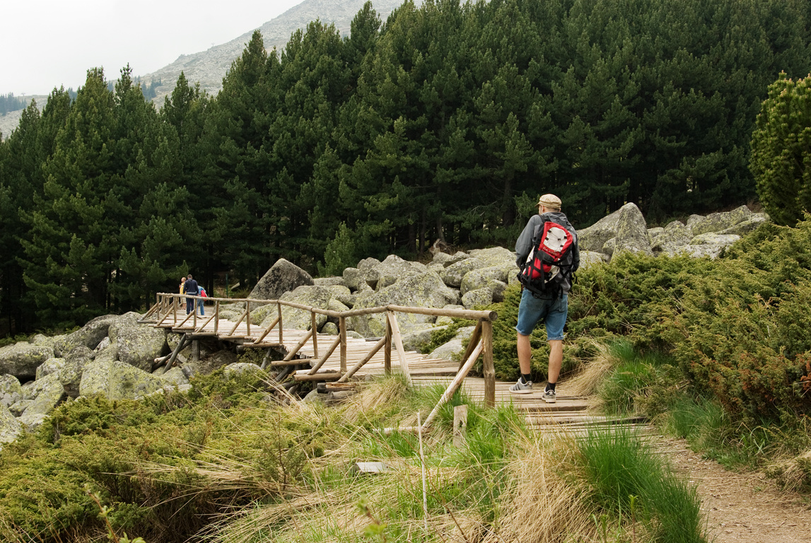 vito6a-17_1147 vito6a-17_1147